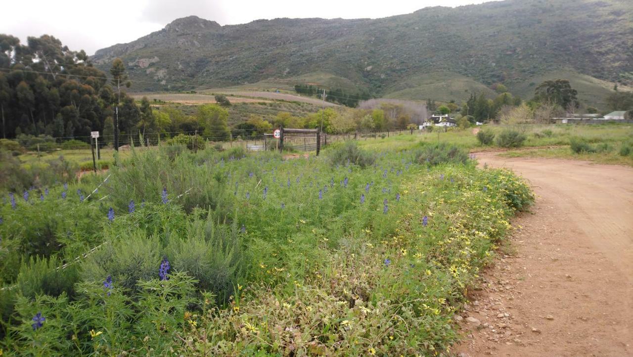 Brambleberry Farm Villa Riebeek-Kasteel Kültér fotó